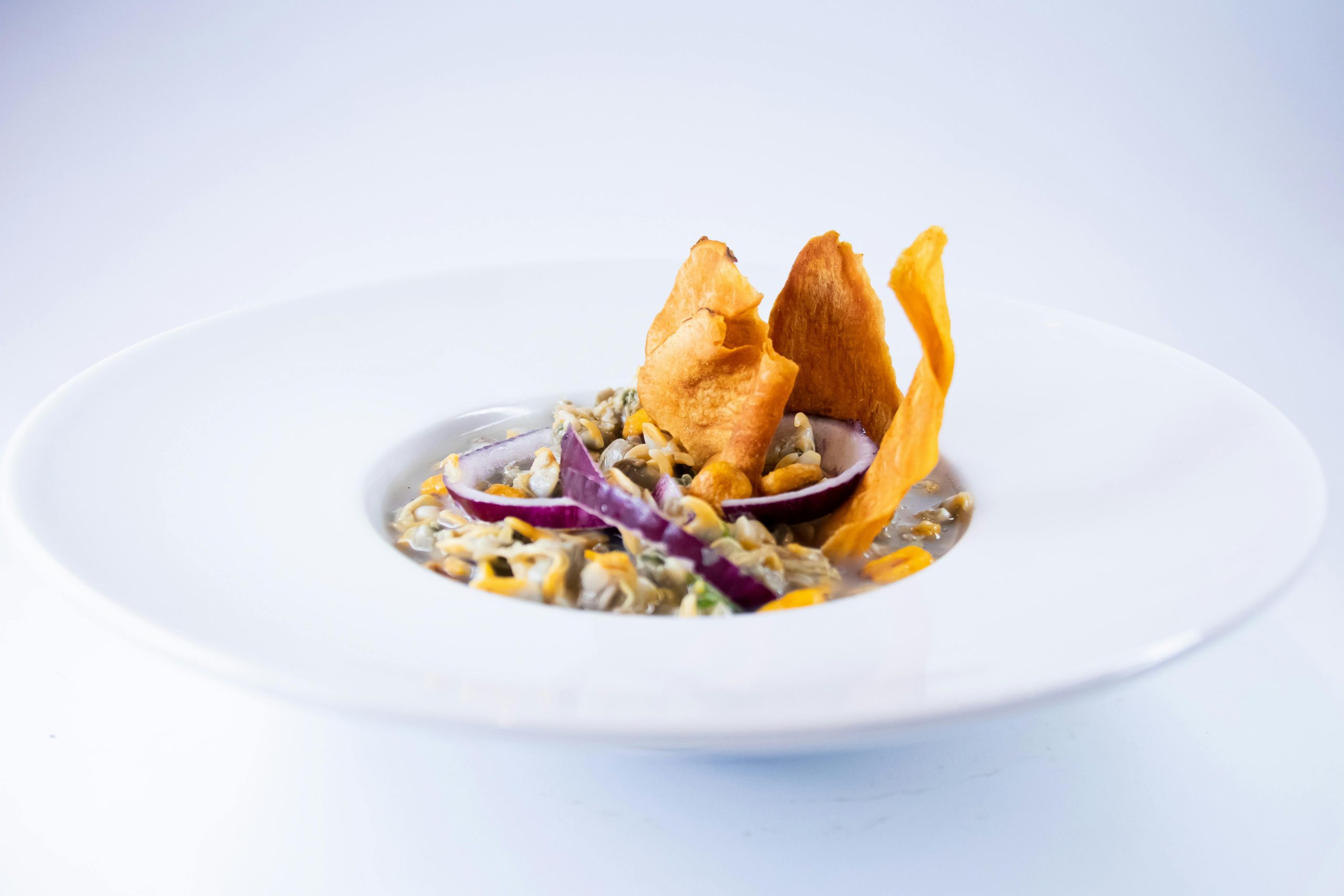 Course picture 1 – pexels-canocosta-9637019